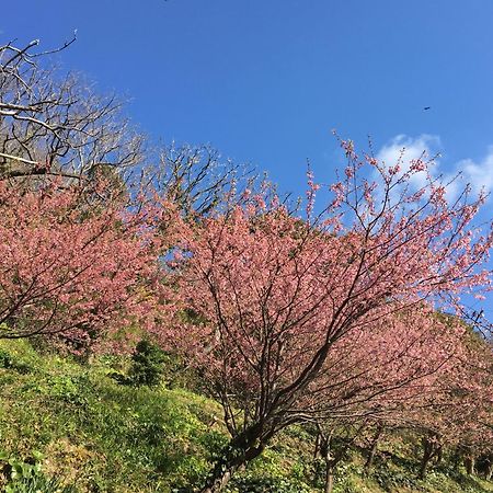 堂ヶ島温泉ホテル 西伊豆町 エクステリア 写真