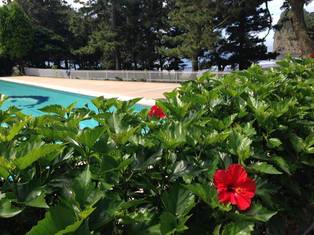 堂ヶ島温泉ホテル 西伊豆町 エクステリア 写真
