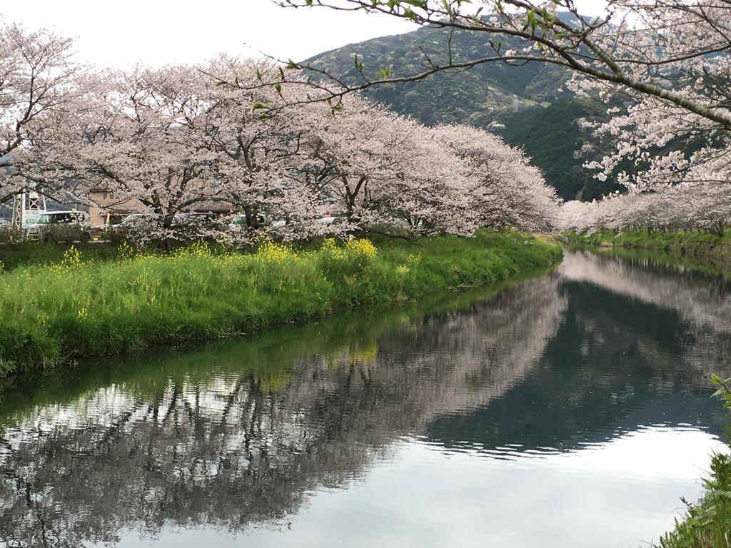 堂ヶ島温泉ホテル 西伊豆町 エクステリア 写真