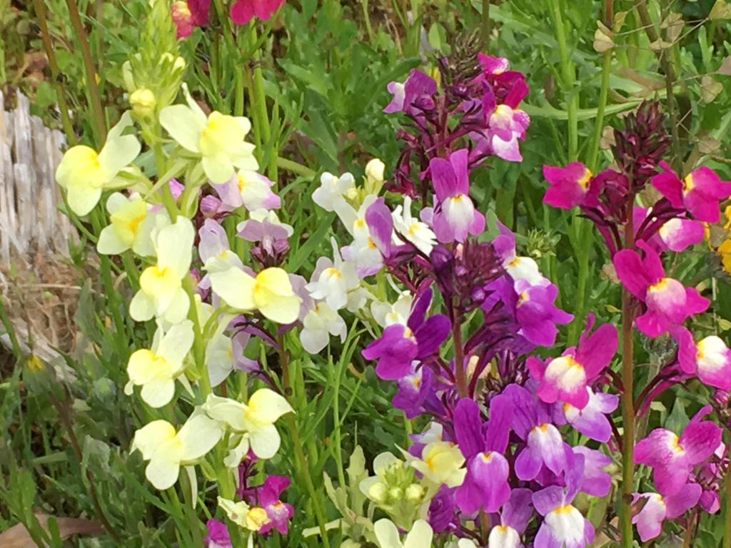 堂ヶ島温泉ホテル 西伊豆町 エクステリア 写真