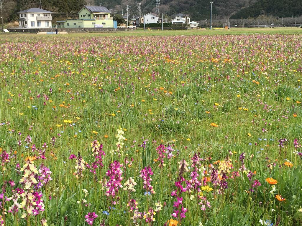 堂ヶ島温泉ホテル 西伊豆町 エクステリア 写真