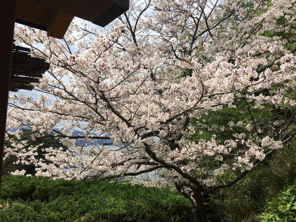 堂ヶ島温泉ホテル 西伊豆町 エクステリア 写真