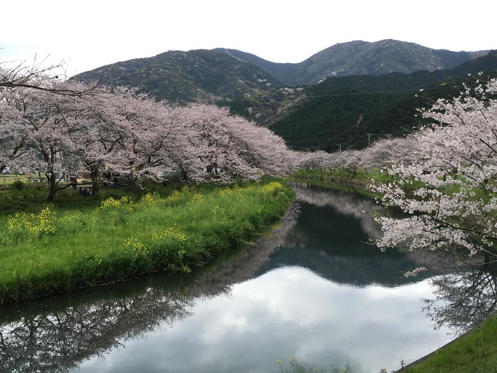 堂ヶ島温泉ホテル 西伊豆町 エクステリア 写真