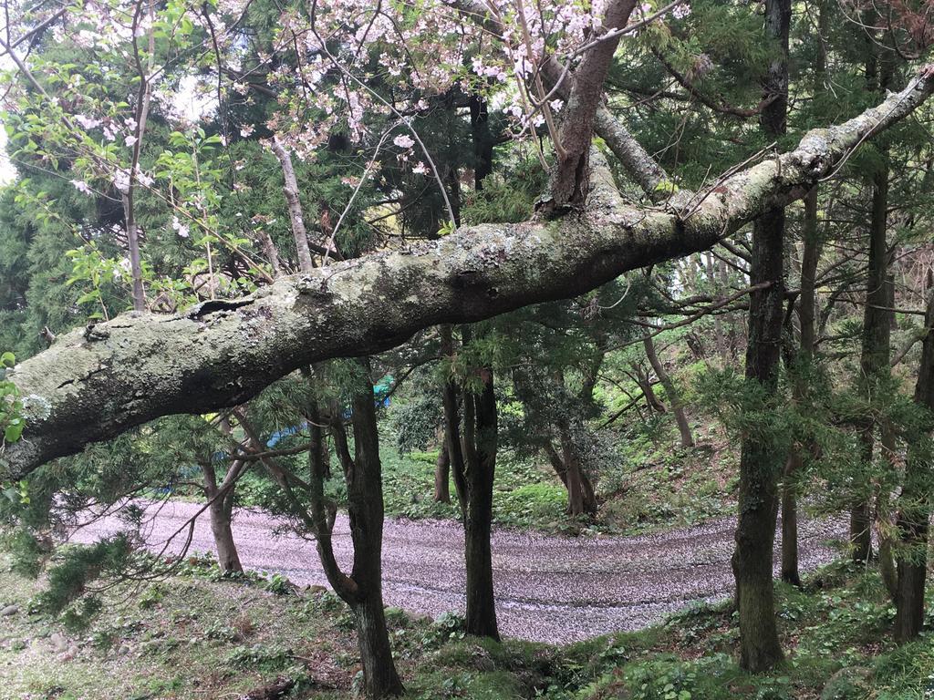 堂ヶ島温泉ホテル 西伊豆町 エクステリア 写真