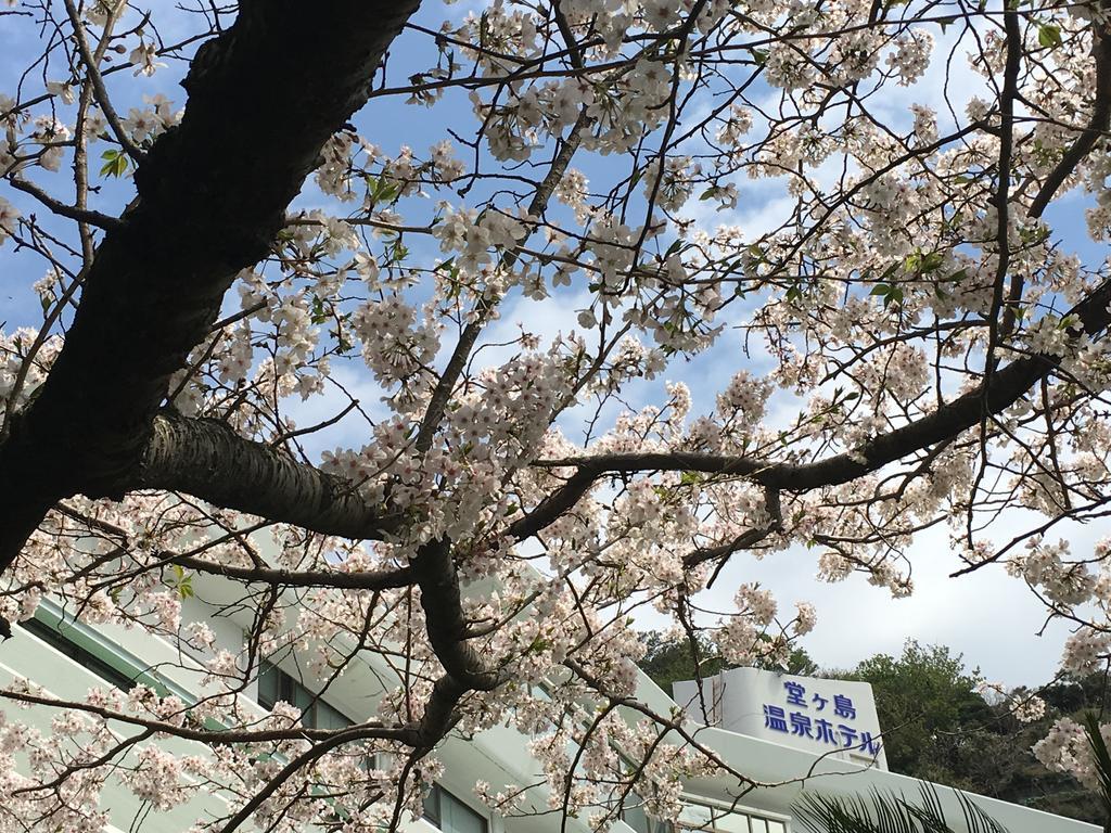 堂ヶ島温泉ホテル 西伊豆町 エクステリア 写真