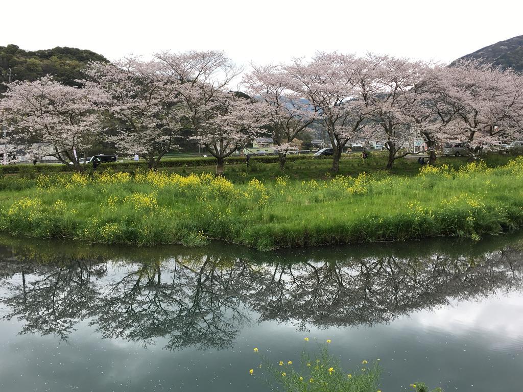 堂ヶ島温泉ホテル 西伊豆町 エクステリア 写真