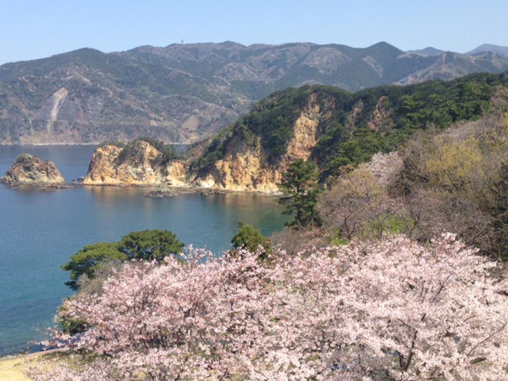 堂ヶ島温泉ホテル 西伊豆町 エクステリア 写真