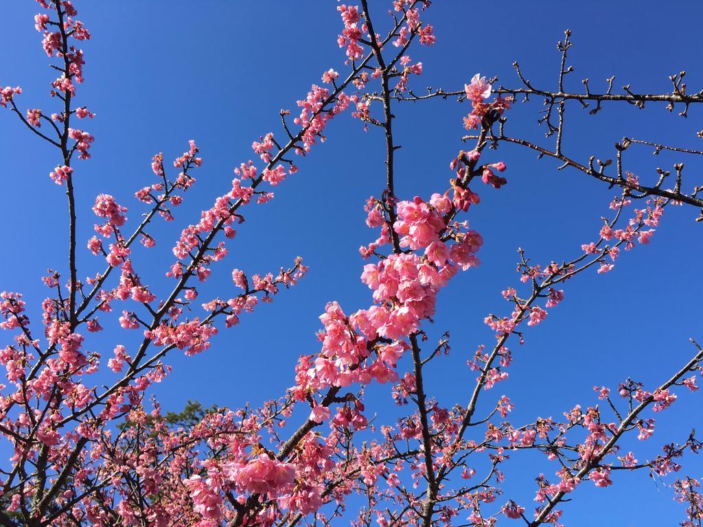 堂ヶ島温泉ホテル 西伊豆町 エクステリア 写真