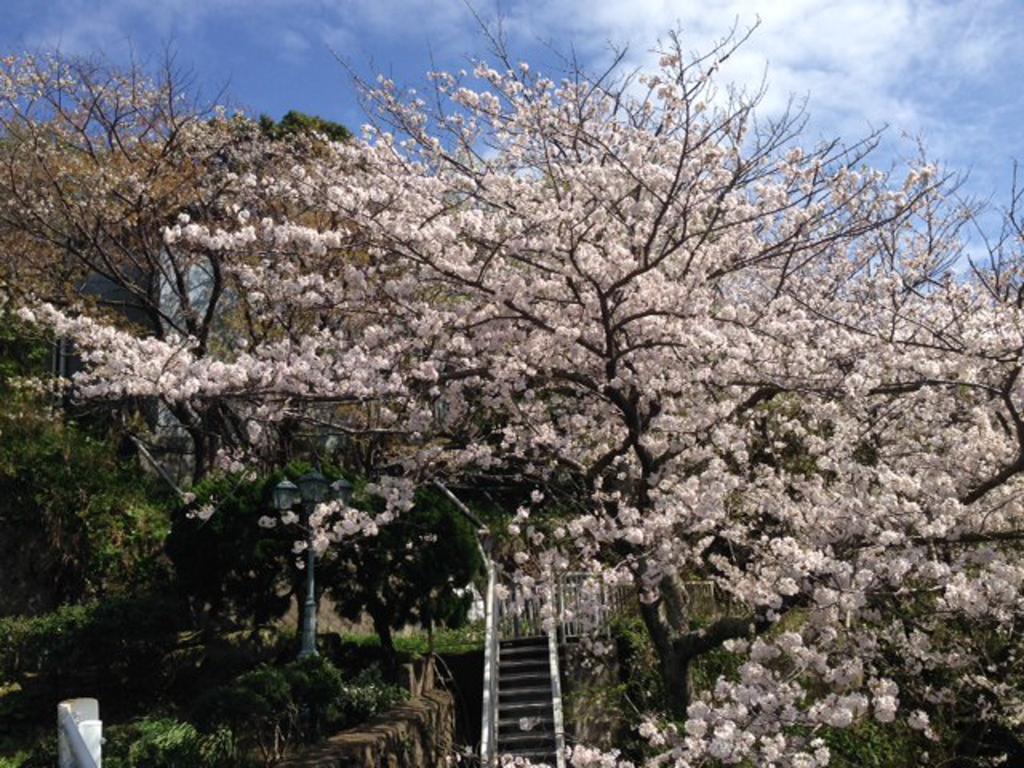 堂ヶ島温泉ホテル 西伊豆町 エクステリア 写真