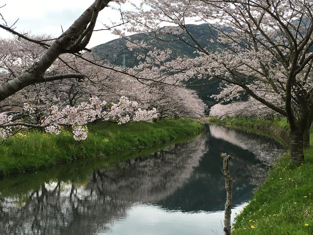 堂ヶ島温泉ホテル 西伊豆町 エクステリア 写真