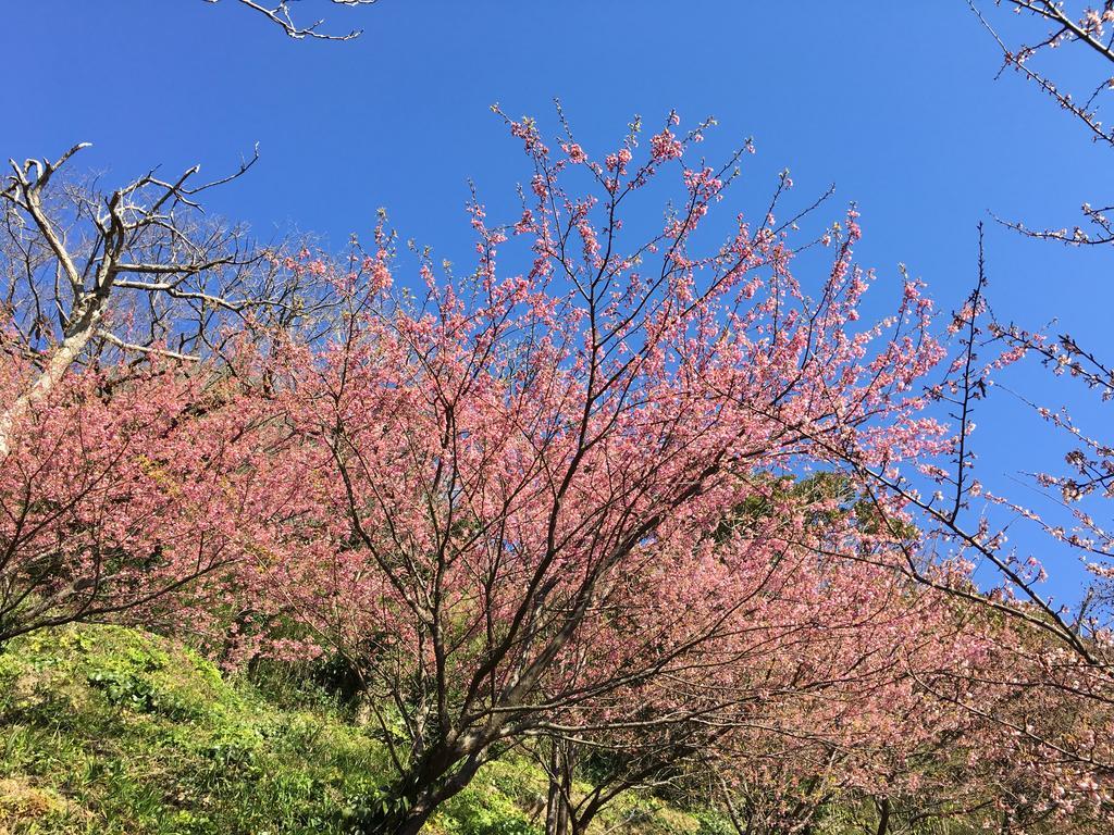 堂ヶ島温泉ホテル 西伊豆町 エクステリア 写真